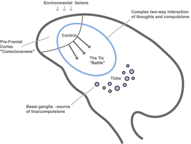 First Diagnosis of Tourette Syndrome
