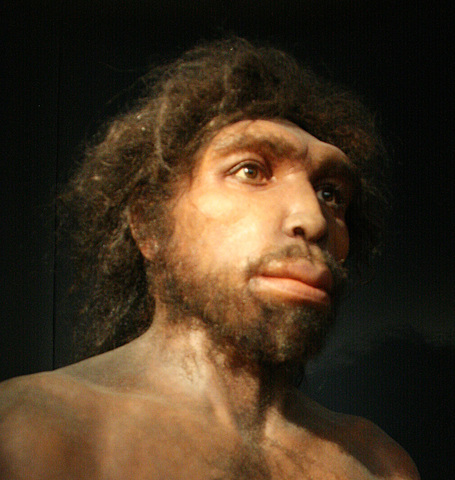 HOMO RODHESIENSIS