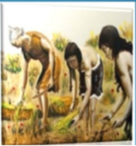 Primeros desarrollos de la agricultura