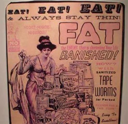 FAT FAT FAT!!