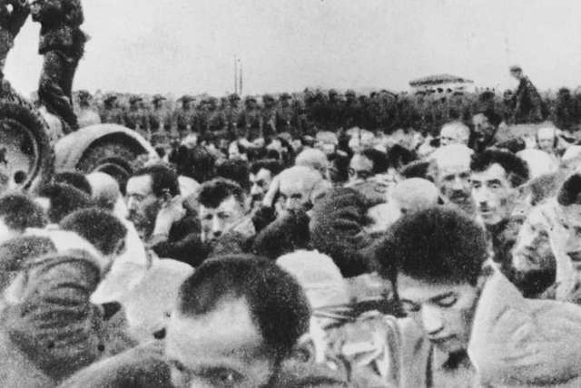 Operation Harvest Festival