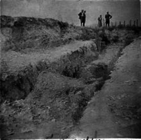 Operation Harvest Festival