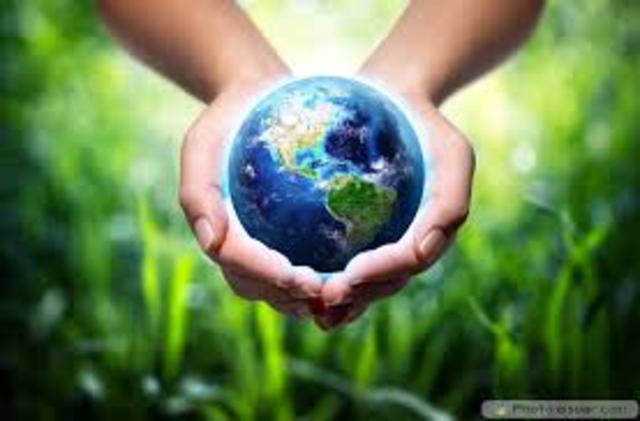 Save The Environment