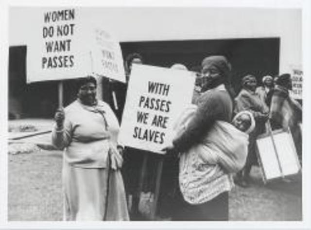 Women Protesting