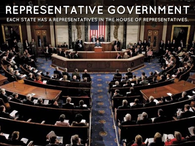 Faults in Representative Government