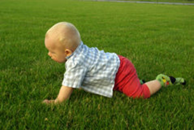 Physical Development 13-15 months