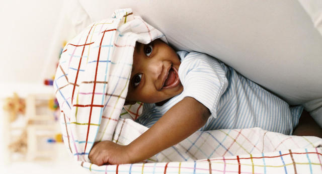 Intellectual Development 13-15 months