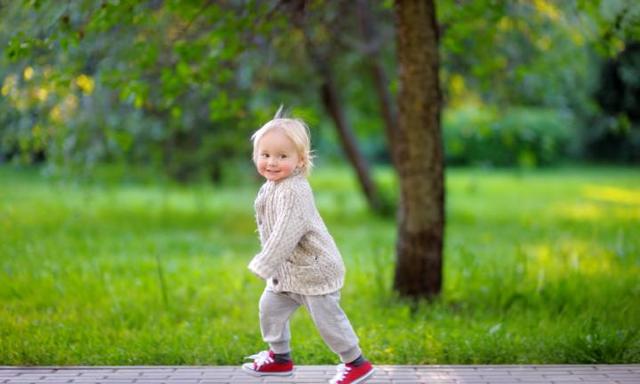 Physical Development 19 to 21 months