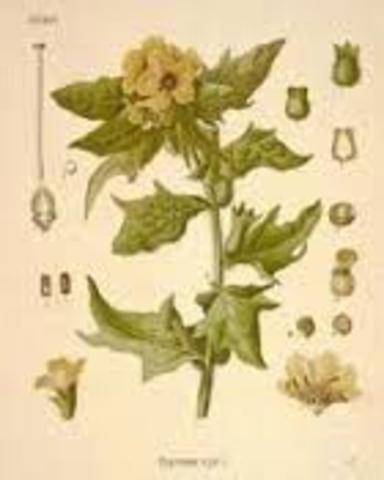 Crippen acts on his emotions