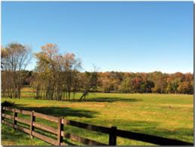 When I Moved from Tronto to Pontypool