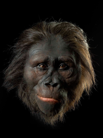 AUSTRALOPITHECUS AFRICANUS