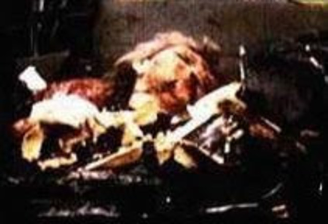 The death of princess Diana