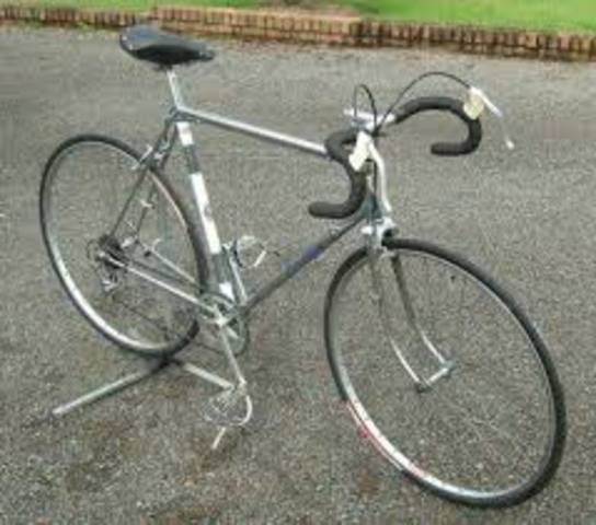 The Carlton Catalina Bike