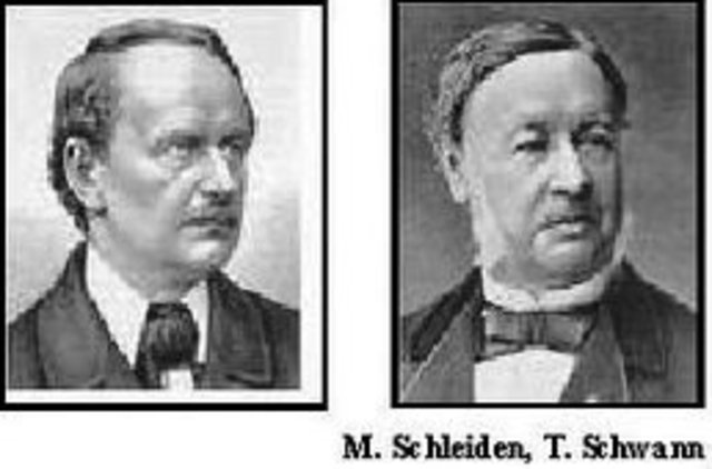 Matthias J. Schleider i Teodor Schwann estableixen la teoria cel·lular.