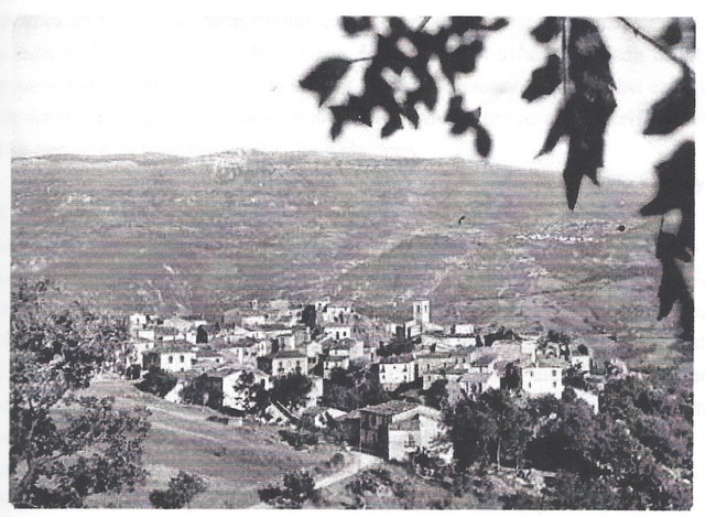 Forced to Leave Fallo