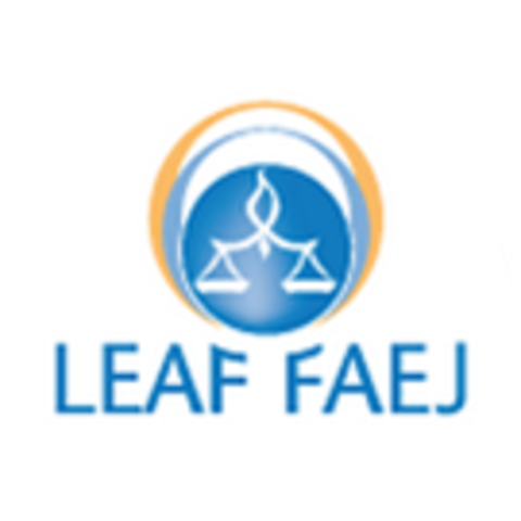 Women's Legal Education and Action Fund Founded by feminist lawyers