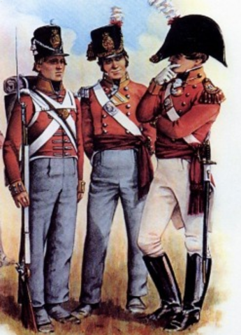 Effects of the Loyalists