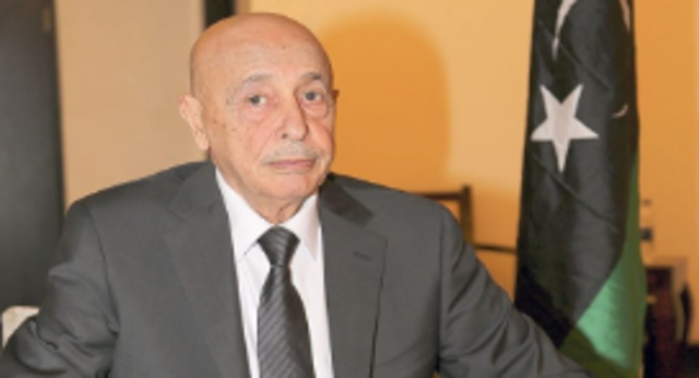 Saleh proposes new resolution plan
