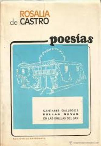 FOLLAS NOVAS Y EN LAS ORILLAS DEL SAR de Castro