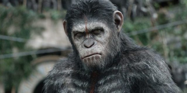 Війна планети мавп