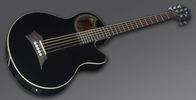 Acoustic Bass Guitar