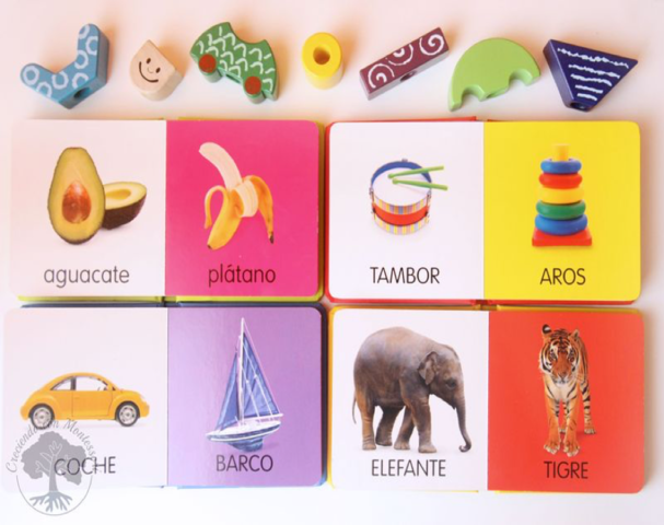 Intervención en lenguaje expresivo. Nov 28 a Dic 30 2016