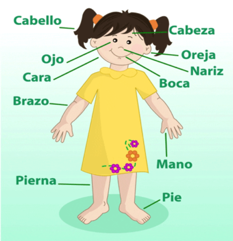 Intervención del lenguaje comprensivo. Nov 28 a Dic 30 del 2016