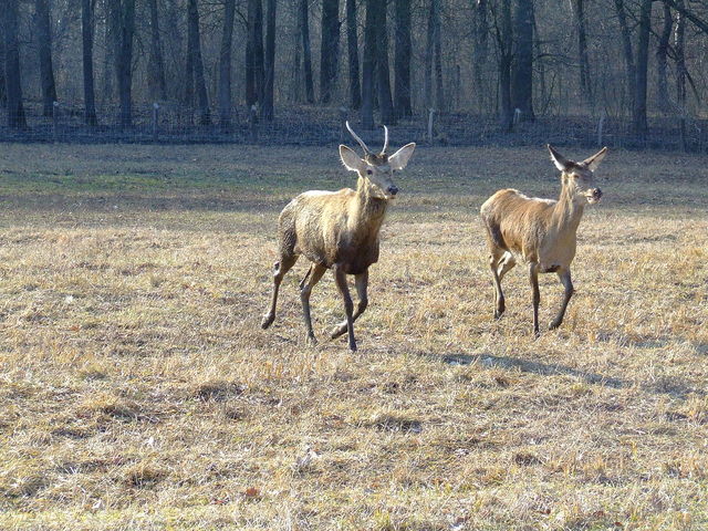 Duna–Dráva Nemzeti Park