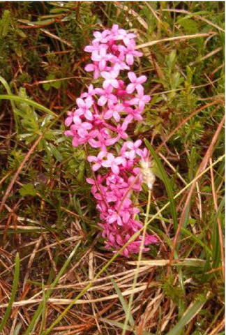 Őrségi Nemzeti Park