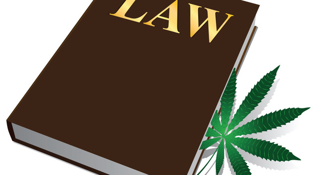 DEA Denies Petition to Reschedule Marijuana