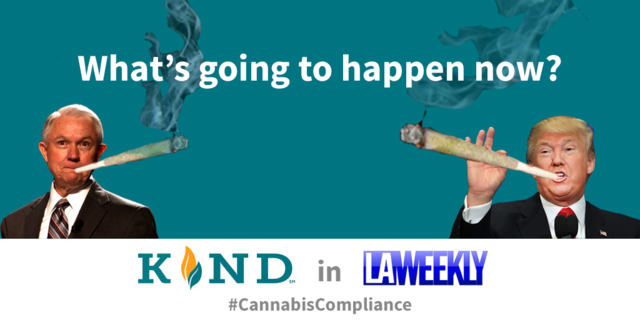 Trump Names Jeff Sessions Attorney General