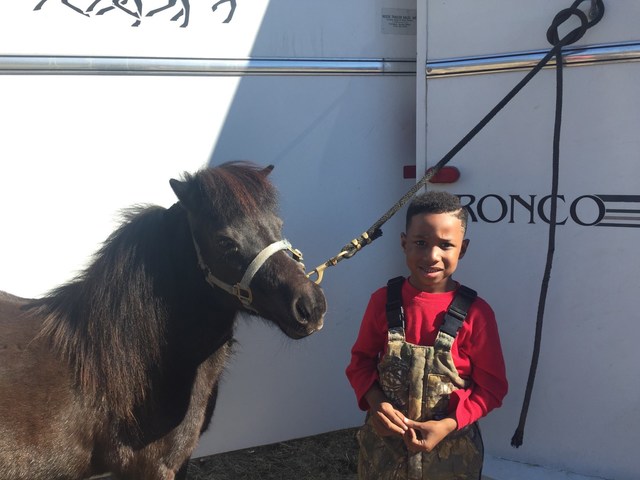 Unbridled Love: Pair of ponies get hitched