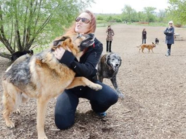 Banner: Community may take control of Aurora dog park