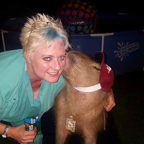 Texarkana family pleads for prayers for beloved pet capybara