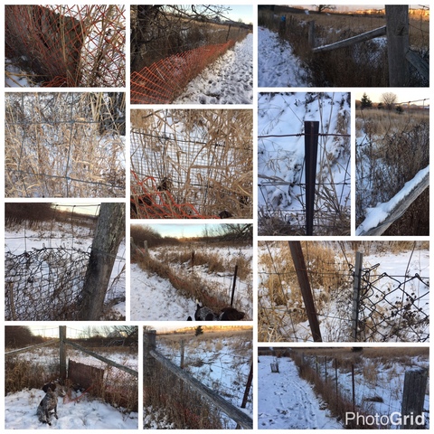 Slideshow to All Councillors showing CC Fence