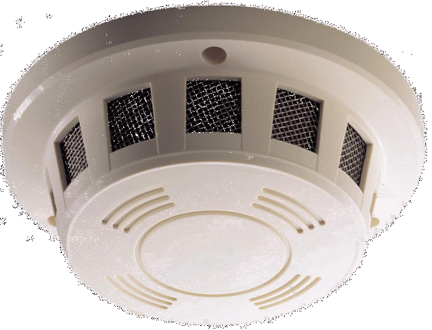 Preventative Health in my 30s