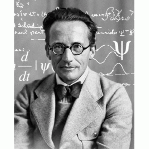 Equazione d'onda di Schrödinger