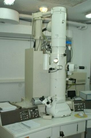 Microscopi electrònic