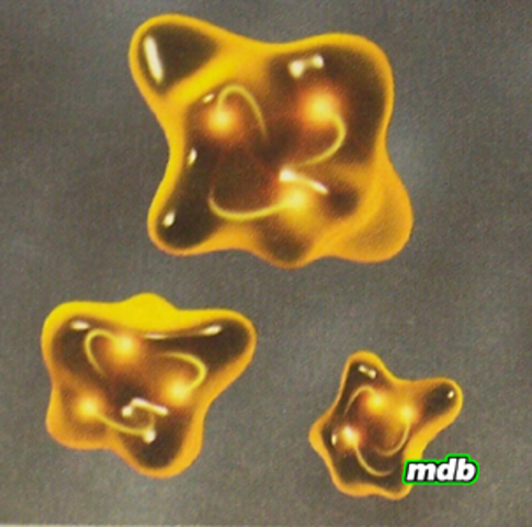 C. L. Alphonse Laveran