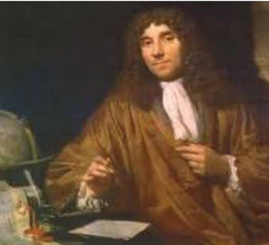 Anton van Leeuwenheok