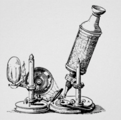 Robert Hooke discovers cell