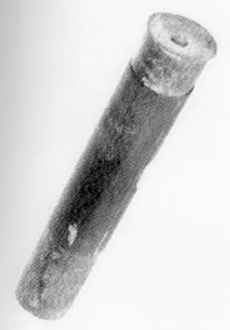 The First Microscope