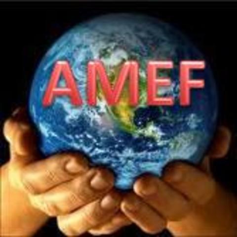 SE POPULARISA AMEF A NIVEL MUNDIAL