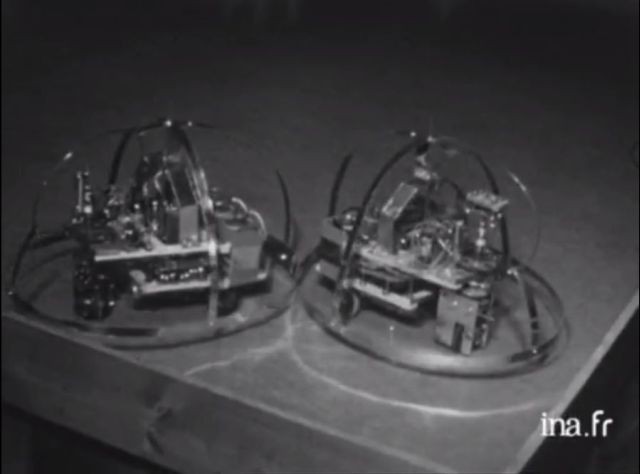 Tortue cybernétique