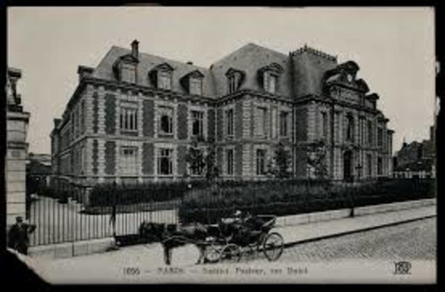 The Institut Pasteur