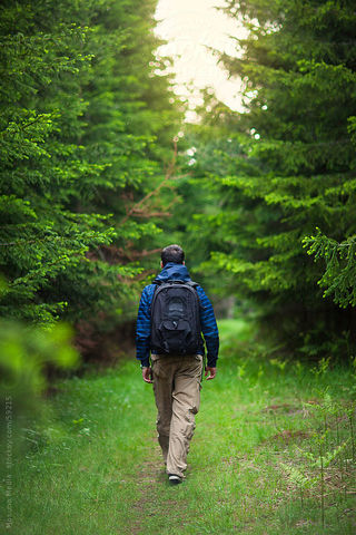 A partida do Cavaleiro