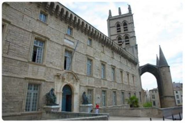 Gli studi giuridici a Montpellier e a Bologna