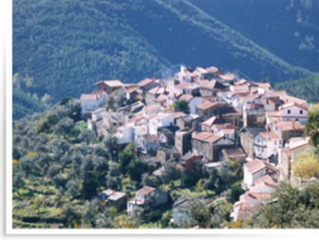 Chegada do Cavaleiro a uma povoação perto da sua floresta