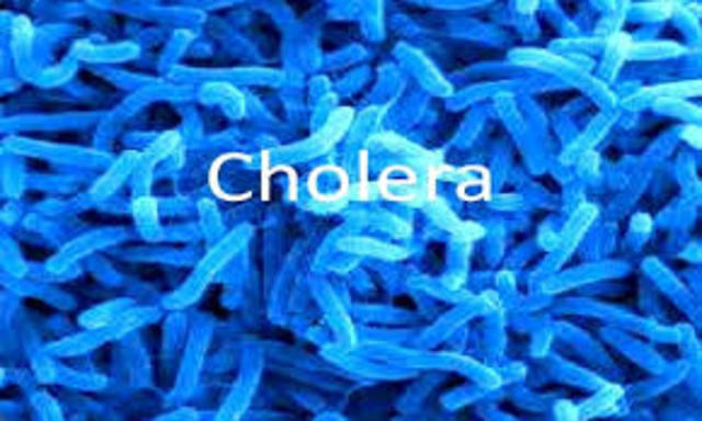 Cholera 2008 to 2009 in Zimbabwe