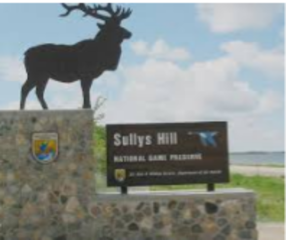 Sullys Hill